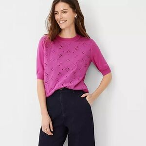 Ann Taylor fucsia Eyelet Mixed Media Sweater Tee medium (A)
